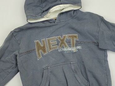 sweterek z angory: Sweatshirt, Next, 3-4 years, 98-104 cm, condition - Good