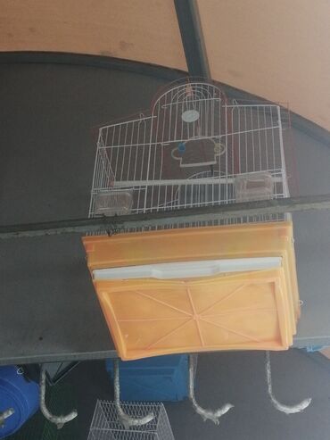 Qəfəslər: Təzə Qəfəslər 9azn boş qəfəslər Valnisti Tutuquşu Qəfəsi 9azn Amadin — 23