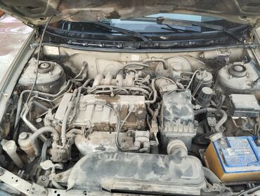 на опель вектра а: Mazda 626: 1998 г., 2 л, Механика, Бензин, Хетчбек