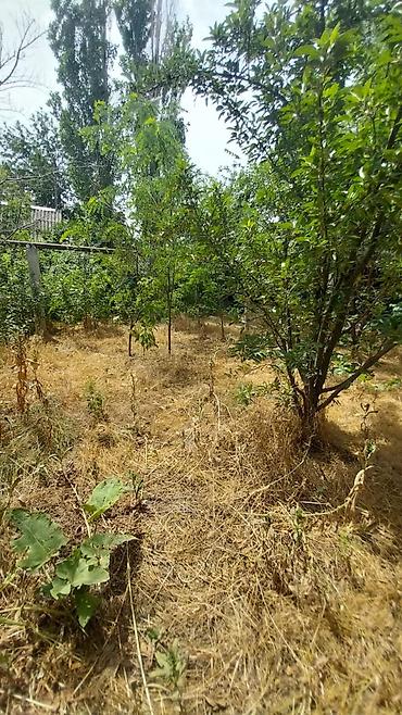 Продажа коттеджей и домов: Срочно продаётся дом, Абдраева-Масароша, участок 4,6 соток, по факту — 8