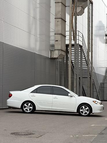 Toyota: Toyota Camry: 2006 г., 2.5 л, Типтроник, Бензин — 7