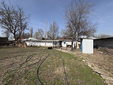 Продажа коттеджей и домов: Срочно
село Чалдовар, улица Советская 280 at lalafo.kg — 25 Продажа коттеджей и домов: Срочно
село Чалдовар, улица Советская 280 — 25