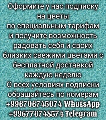 Цветы и букеты: Цветы вам и вашим близким пишите и звоните у нас всегда то что нет у