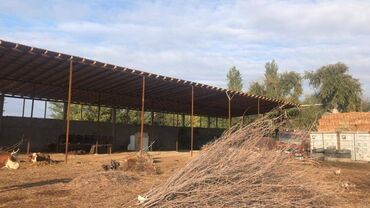 снять дом для мероприятий: Сдаю в аренду большой Навес, от Шлагбаума 10км. размер 55м на 12 =