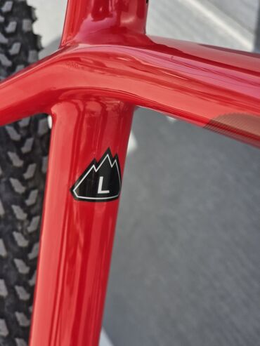 Горные велосипеды: Горный велосипед, Specialized, Рама L (172 - 185 см), Карбон, Б/у — 11