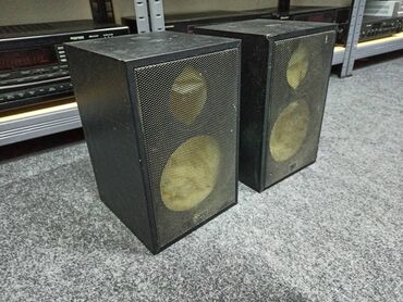 Zvučnici i stereo sistemi: Prazne canton fonum 250 sa metalnim mrezicama i dampingom. Upust za — 2