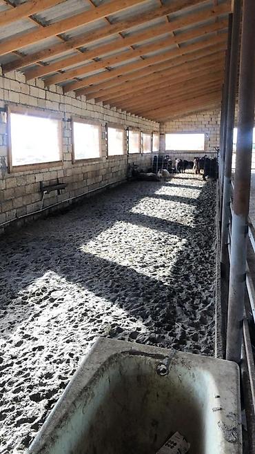 Daşınmaz əmlak: 100 sot, Kənd təsərrüfatı, Barter mümkündür, Kupça (Çıxarış) — 4