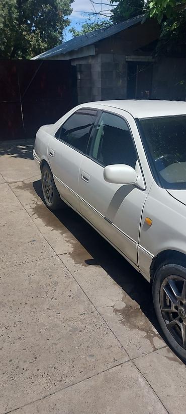 авто домик: Toyota Camry: 1999 г., Автомат, Бензин, Седан — 7