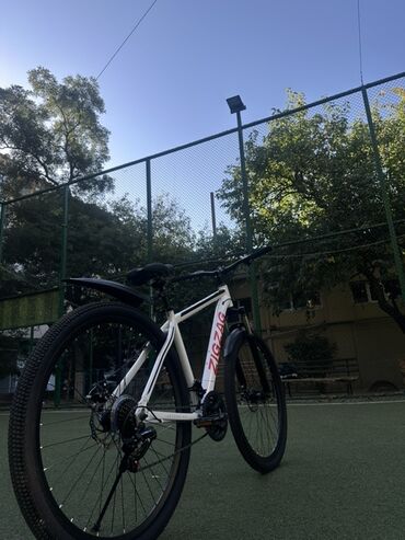 Şəhər velosipedləri: Yeni Şəhər velosipedi 29" — 2