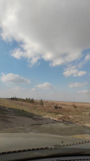 Torpaq sahələrinin satışı: Biznes üçün — 8