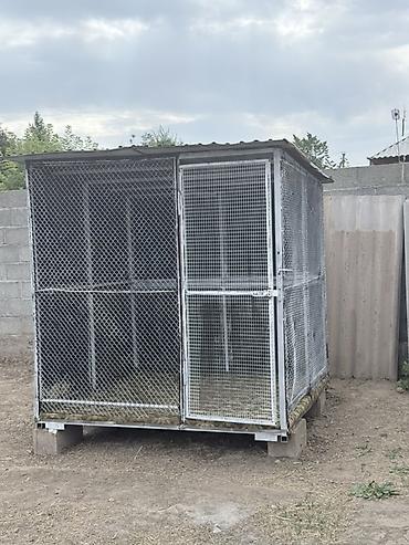 пена потолок: Продаем в связи с тем, что раньше у нас было две собаки и два вольера — 3