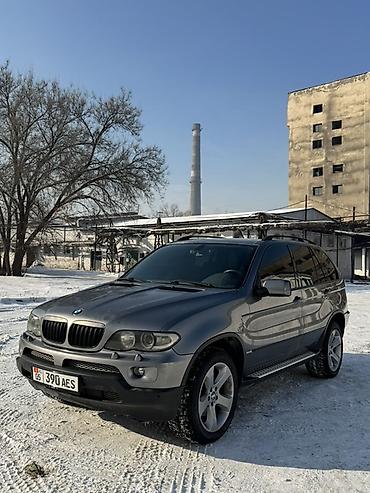 BMW: BMW X5: 2002 г., 3 л, Автомат, Дизель, Кроссовер — 3