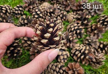 ваза бишкек: 🎁ДЕКОРАТИВНАЯ ВАЗА -14 СМ- 200 СОМ 🌲ШИШКИ-10 СОМ ПОЛИТЕХ КИНОТЕАТР — 4