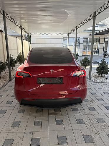 Tesla: Tesla Model Y: 2021 г., 0.1 - engine capacity л, Автомат, Электромобиль, Кроссовер — 8