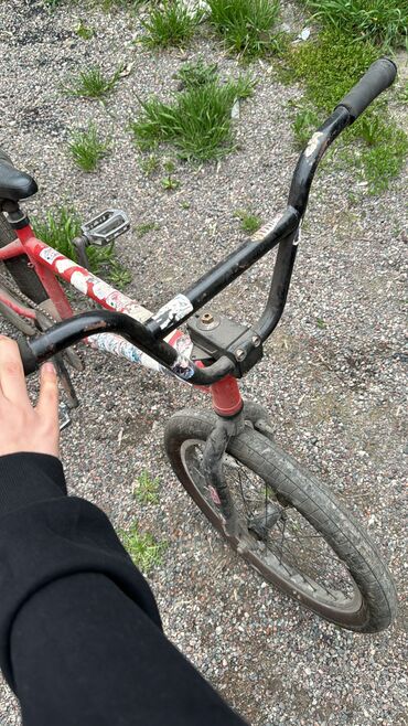 Велосипеддер: Продаю BMX не битый не крашеный😂 Продаю срочно за 6000 сом жду