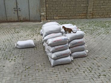 Peyin: Toz halinda mal peyini - kisesi 2,60 q. ( boyuk kepek kisesinde) — 7