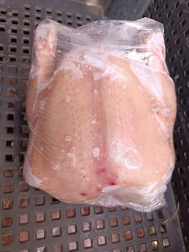 Курица: 🔥 Продаю фермерских бройлерных кур (охлажденка+замороженные тушки) 🔥 💰 — 7