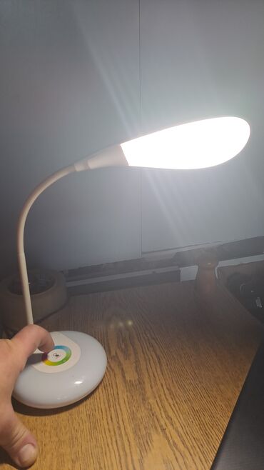 led lampice 100m: Table lamp, color - Multicolored, Novo