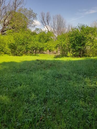 Torpaq sahələrinin satışı: 30 sot, Kənd təsərrüfatı, Mülkiyyətçi, Kupça (Çıxarış) -da lalafo.az — 17 Torpaq sahələrinin satışı: 30 sot, Kənd təsərrüfatı, Mülkiyyətçi, Kupça (Çıxarış) — 17