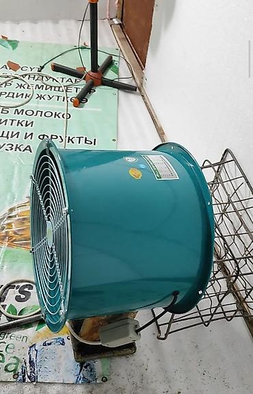 Килем жуучу аппараттар: Бизнес сатуу Төмөнкүлөр менен бирге: Жабдуулар жана эмерек — 5