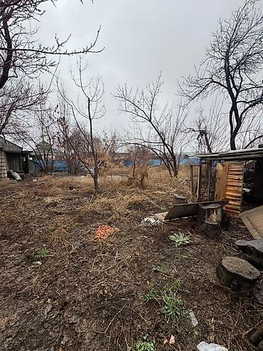 Продажа коттеджей и домов: 🔷🏡 ПРОДАЁТСЯ ДОМ 📍 с. Селекционное, ул. Вишнёвая 🔷 Год постройки — — 4