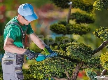 can əti harda olur: BAĞ EVİNDƏ AİLƏVİ QALMAQ ŞƏRTİLƏ BAĞBAN İŞİ AXTARIRAM 14 İLLİK