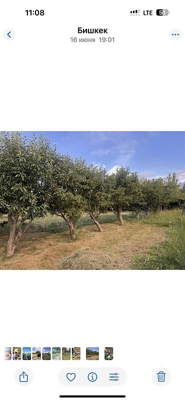 Продажа участков: 14 соток, Для сельского хозяйства, Договор купли-продажи — 2