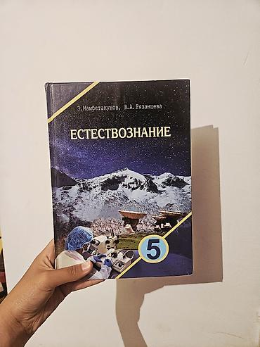 solutions elementary: Кыргызская литература, 6 класс, Б/у — 2