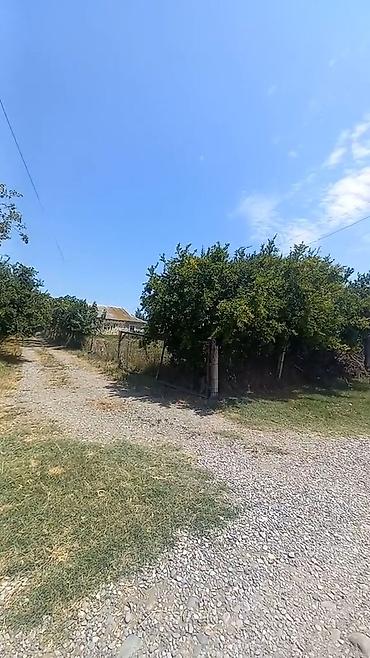 Həyət evləri və villaların satışı: 4 otaqlı, 3000 kv. m, Orta təmir — 16