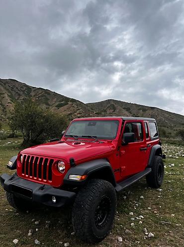 performance: Jeep Wrangler: 2024 г., 2 л, Автомат, Бензин, Внедорожник — 1