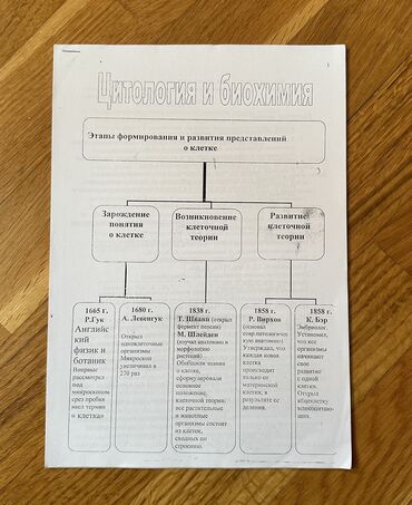 Kitablar, jurnallar, CD, DVD: Биология ( конспект по биохимии и цитологии) ❗️UCUZ❗️