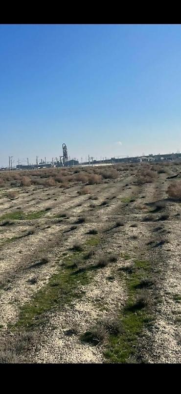 ticari daşınmaz əmlakın satışı: 150 sot, Biznes üçün, Mülkiyyətçi, Kupça (Çıxarış) — 10