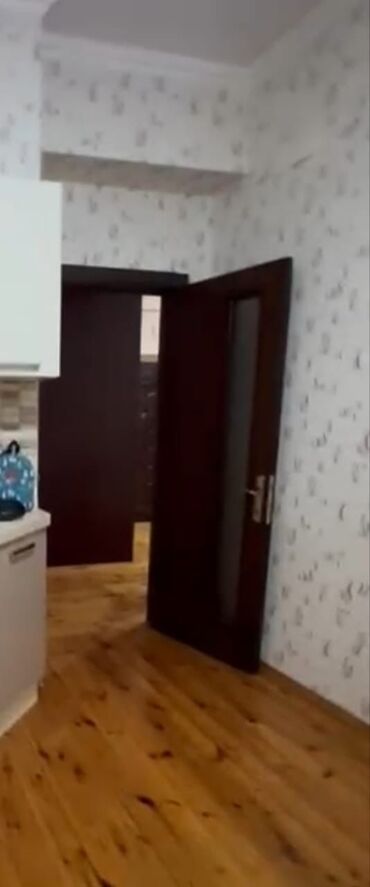 plasmas qapi: Qapilar ev 4 otaq qapısı şüsəli 2 ədəd koriçnevıy hamam və tualet