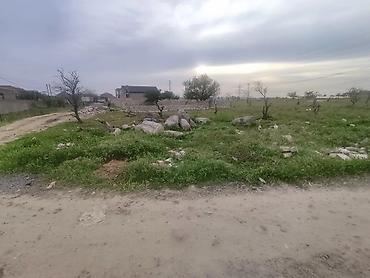 zabratda: 4 sot, Tikinti, Mülkiyyətçi — 3