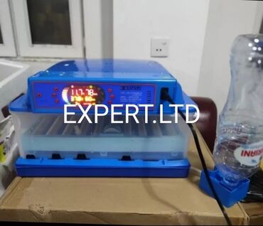 Digər quşlar: Smart-rejimli inkubatorlar satılır. Aparatlar tam olaraq avtomat, və — 15