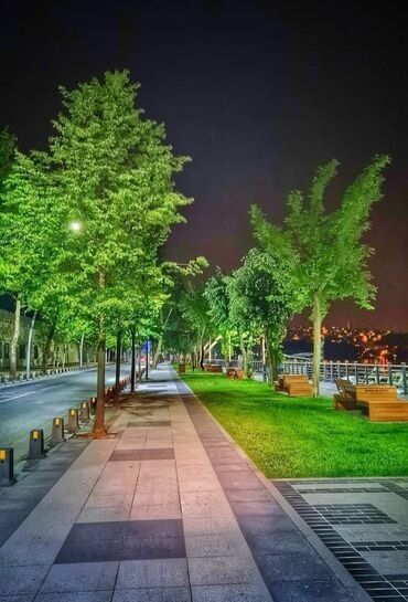 долгосрочная аренда земли: 40 м², 2 комнаты