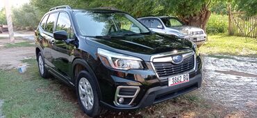 купить ssangyong korando новый: Subaru Forester: 2020 г., 2.5 л, Вариатор, Бензин, Кроссовер