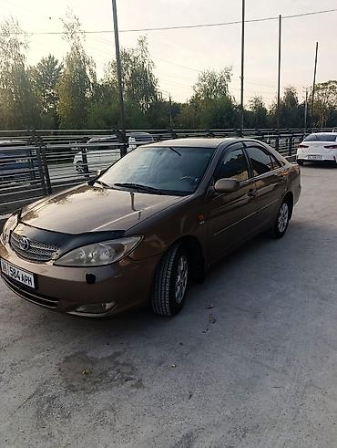 Toyota: Toyota Camry: 2002 г., 2.4 л, Автомат, Седан — 10