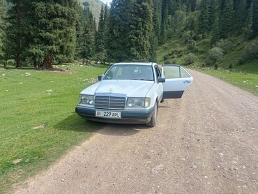 мерс 200 с: Mercedes-Benz 200: 1989 г., 2 л, Механика, Бензин, Седан