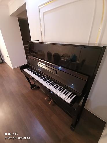 Pianolar: Piano, Belarus, Akustik — 2