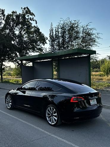 byd e6: Tesla Model 3: 2019 г., Электромобиль, Лифтбек — 2