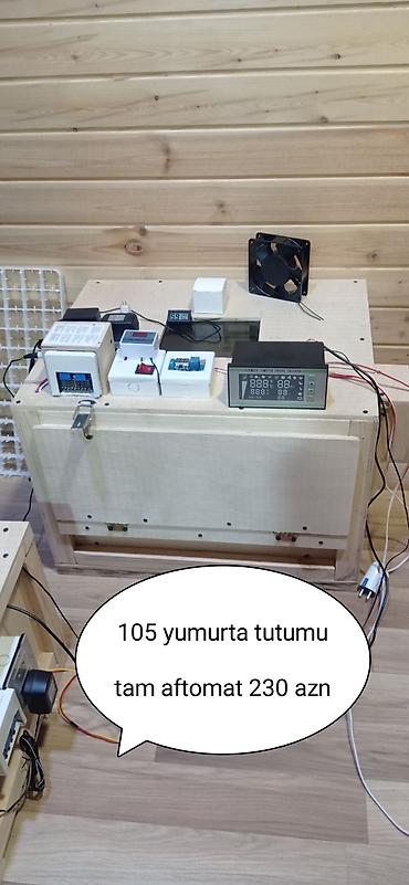 berde ferma: 100 yumurta, Tam avtomat — 1