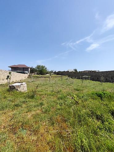 sibrizde evler: Bakı, Nardaran qəs., 185 kv. m, 7 otaqlı, Hovuzsuz, Artezian quyusu — 6