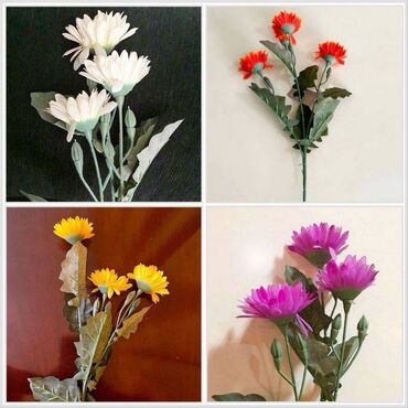 ботанический: Цветок - Хризантема декоративная на каждой ветке 3 раскрытых цветка