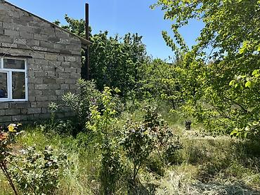 Torpaq sahələrinin satışı: 10 sot, Tikinti, Bələdiyyə — 6