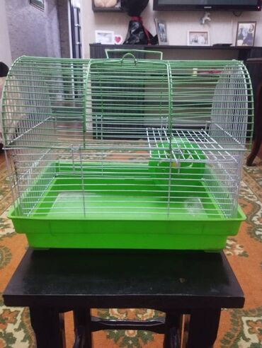 baglama: Salam. Qefes satilir. Teze kimidi. Hec bir sinigi,eziyi,curuyu yoxdur