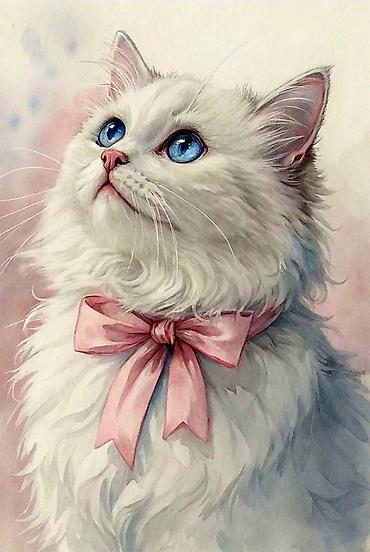 щенка шпиц: Кошка даром: Беспородная, 6 месяцев, Мальчик — 1