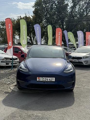Tesla: Tesla Model Y: 2023 г., Вариатор, Электромобиль, Кроссовер — 2