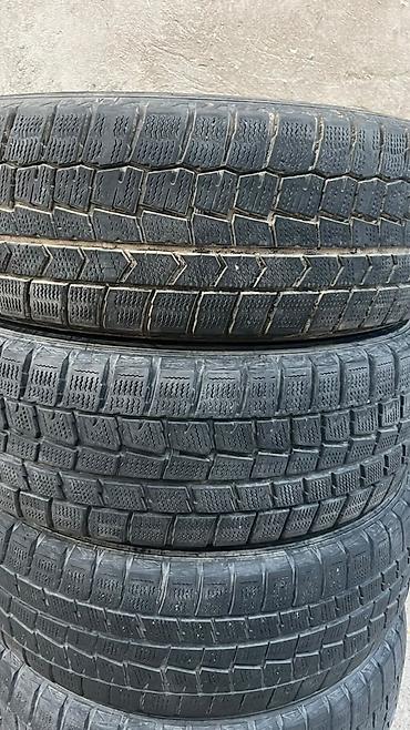255 70 16: Шины 195 / 65 / R 15, Зима, Б/у, Комплект, Легковые, Япония, Dunlop — 1