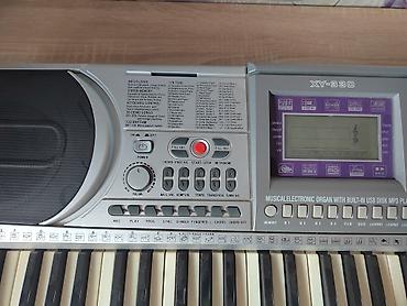 npad 16: Elektron klaviatura – XY-330

Adaptor yoxdur. Ehtiyyat hissələr üçün — 2